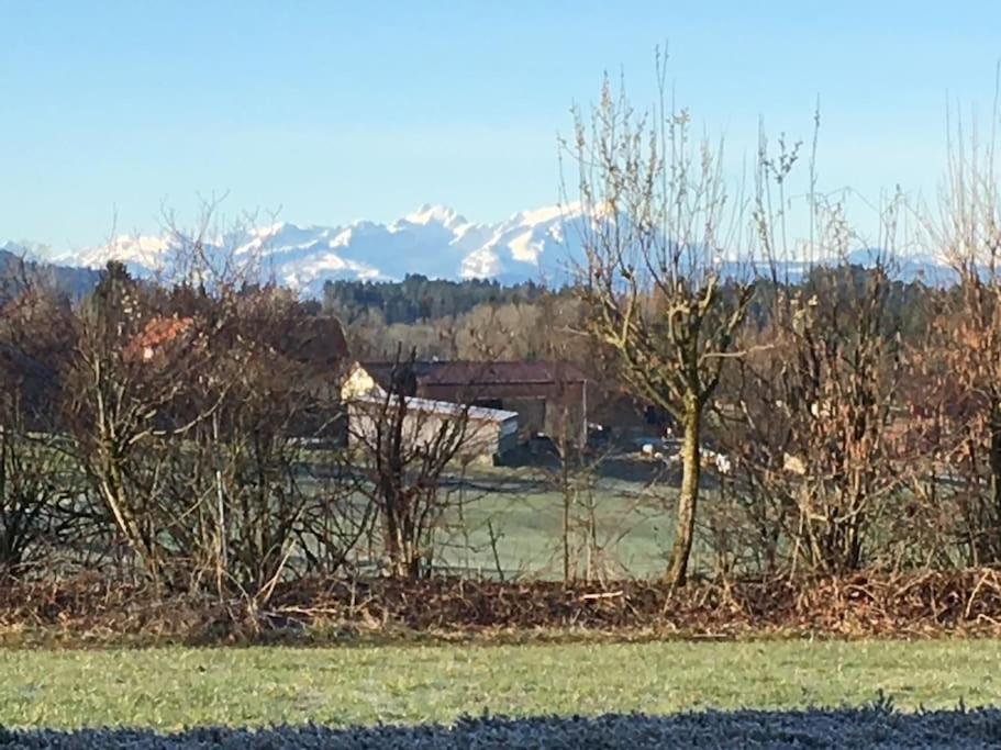 Panorama Saentisblick Leilighet Hergatz Eksteriør bilde